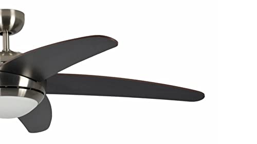Pepeo 13432010131_v1 Ceiling Fan Melton Nickel, with Lighting, Blades Brown/wanaque incl. Remote Control, 60 W, 240 V, 132 x 132 x 38 cm
