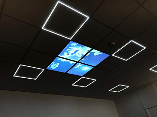 Sky Ceiling Light Box with Remote, Dimmable with Remote LED Light Cool Ultra Thin Panel, 4 Pcs of 60X60Cms / 600x600mm Sky, Mimics Natural Light for Office and Home (3D, 40W, 1500 Lumens)