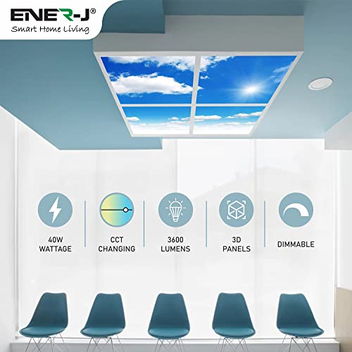 Sky Ceiling Light Box with Remote, Dimmable with Remote LED Light Cool Ultra Thin Panel, 4 Pcs of 60X60Cms / 600x600mm Sky, Mimics Natural Light for Office and Home (3D, 40W, 1500 Lumens)