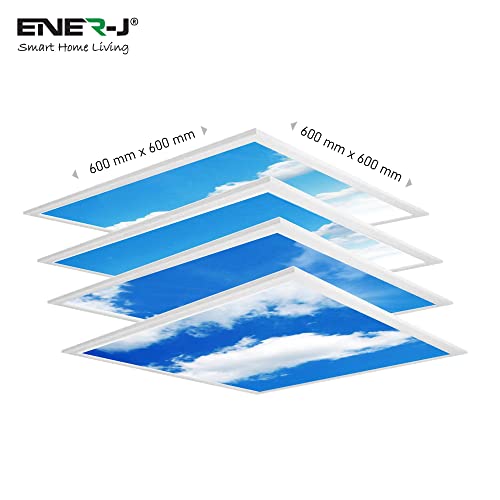 Sky Ceiling Light Box with Remote, Dimmable with Remote LED Light Cool Ultra Thin Panel, 4 Pcs of 60X60Cms / 600x600mm Sky, Mimics Natural Light for Office and Home (3D, 40W, 1500 Lumens)