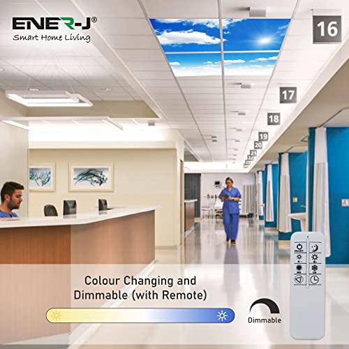 Sky Ceiling Light Box with Remote, Dimmable with Remote LED Light Cool Ultra Thin Panel, 4 Pcs of 60X60Cms / 600x600mm Sky, Mimics Natural Light for Office and Home (3D, 40W, 1500 Lumens)