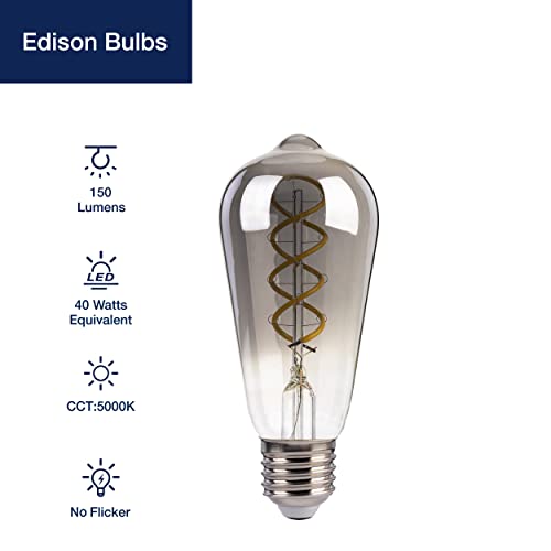 FLSNT E27 LED Light Bulbs, Vintage Spiral Filament Edison Bulb, Daylight 5000K, 4W, 40W Equivalent, Non-Dimmable (4 Pack, ST58, Smoky Grey)