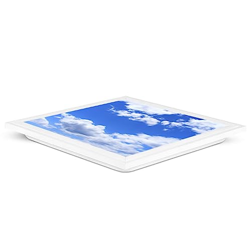 G.W.S® Sky Cloud Pattern Ceiling Light, Suspended 595mmx595mm (2'x2') Square LED Panel Light, Pack of 1