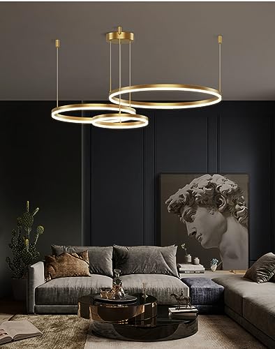 LED Pendant Light Modern Ring Circle Design Chandelier Lighting Dimmable Ceiling Hanging Lamp For Dining Table,Dining Room,Kitchen Island,Living Room ( Color : Gold , Size : 3 rings/80+60+40CM/88W )