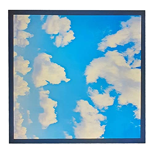 48W Sky Cloud Pattern LED Flat Slim Ceiling Recessed Panel Light 600 x 600mm Office Lighting (1x)