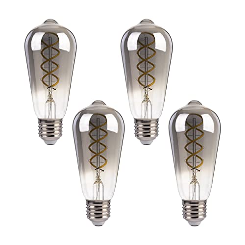 FLSNT E27 LED Light Bulbs, Vintage Spiral Filament Edison Bulb, Daylight 5000K, 4W, 40W Equivalent, Non-Dimmable (4 Pack, ST58, Smoky Grey)
