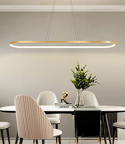 Bellastein Pendant Light Oval Dining Table Office Lamps, LED Hanging Light dimmable Ceiling Light with Remote Control, Modern Ring Design Chandelier for Dining Room Kitchen lamp (L70cm, Gold)