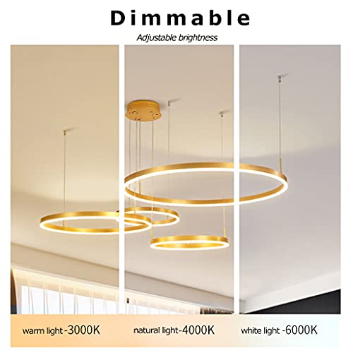 LED Pendant Lamp Living Room Lights Modern Ring Design Hanging Lamp Dimmable Remote Metal Chandelier Acrylic Lampshade Ceiling Light for Hotel Restaurantlight Lobby Room Illumination,Brown,2 Rings