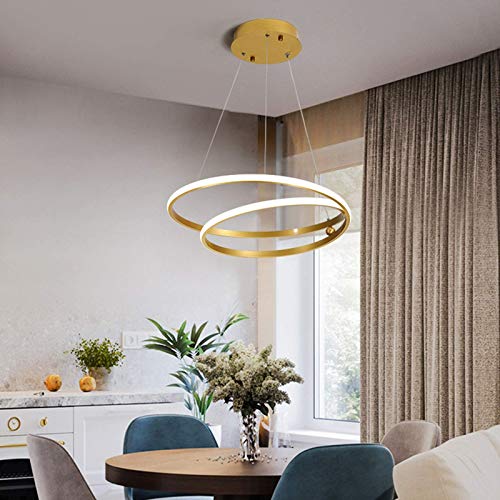 Indoor ceiling lighting Simple Personality Chandelier Home Hotel Luxury Circle Art Restaurant Study Bedroom Office Golden Fashion LED Light (Color : Stepless dimming)