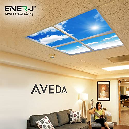 Sky Ceiling Light Box with Remote, Dimmable with Remote LED Light Cool Ultra Thin Panel, 4 Pcs of 60X60Cms / 600x600mm Sky, Mimics Natural Light for Office and Home (3D, 40W, 1500 Lumens)